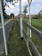 Click for all images